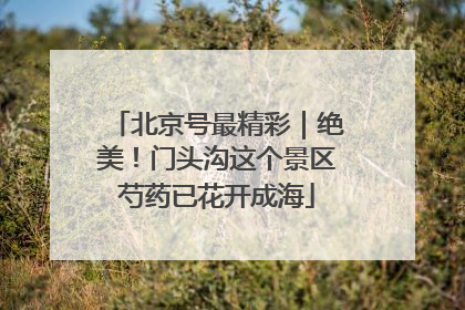 北京号最精彩｜绝美！门头沟这个景区芍药已花开成海