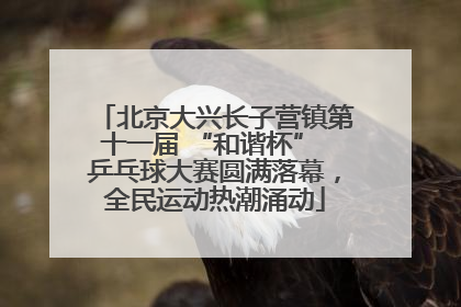北京大兴长子营镇第十一届 “和谐杯” 乒乓球大赛圆满落幕，全民运动热潮涌动