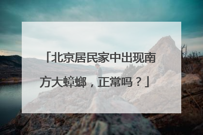 北京居民家中出现南方大蟑螂，正常吗？