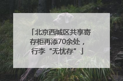 北京西城区共享寄存柜再添70余处，行李“无忧存”