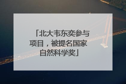北大韦东奕参与项目，被提名国家自然科学奖