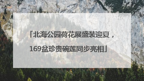 北海公园荷花展盛装迎夏，169盆珍贵碗莲同步亮相