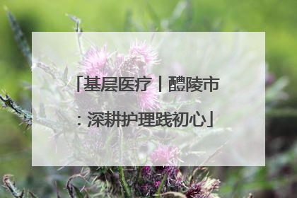 基层医疗丨醴陵市：深耕护理践初心