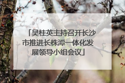 吴桂英主持召开长沙市推进长株潭一体化发展领导小组会议