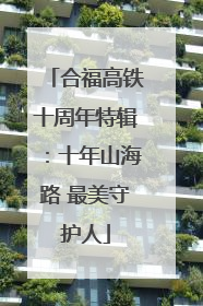 合福高铁十周年特辑：十年山海路 最美守护人