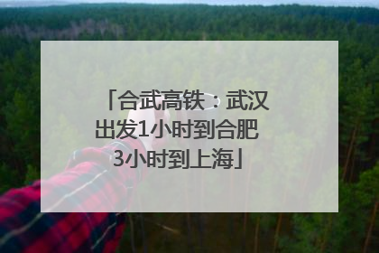 合武高铁：武汉出发1小时到合肥3小时到上海