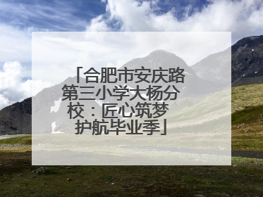 合肥市安庆路第三小学大杨分校：匠心筑梦 护航毕业季