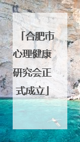 合肥市心理健康研究会正式成立