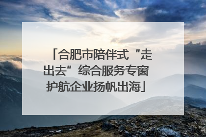 合肥市陪伴式“走出去”综合服务专窗护航企业扬帆出海