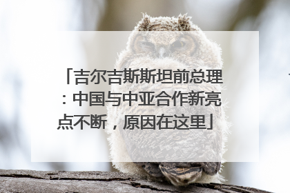 吉尔吉斯斯坦前总理：中国与中亚合作新亮点不断，原因在这里
