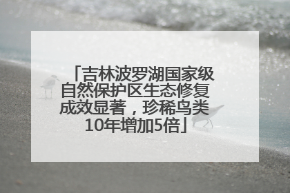 吉林波罗湖国家级自然保护区生态修复成效显著，珍稀鸟类10年增加5倍