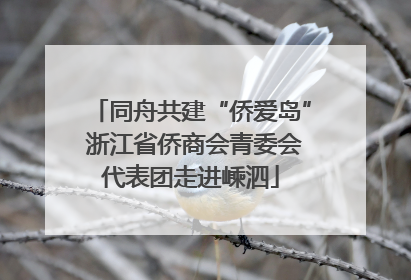 同舟共建“侨爱岛” 浙江省侨商会青委会代表团走进嵊泗