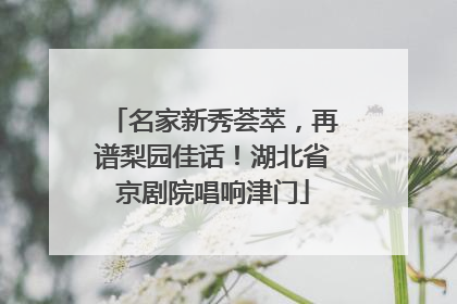 名家新秀荟萃，再谱梨园佳话！湖北省京剧院唱响津门