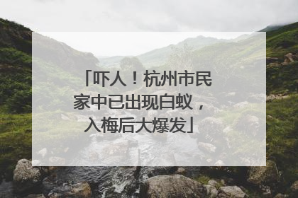 吓人！杭州市民家中已出现白蚁，入梅后大爆发