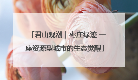 君山观潮｜枣庄绿迹 一座资源型城市的生态觉醒