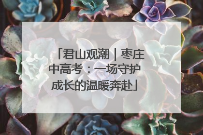 君山观潮｜枣庄中高考：一场守护成长的温暖奔赴