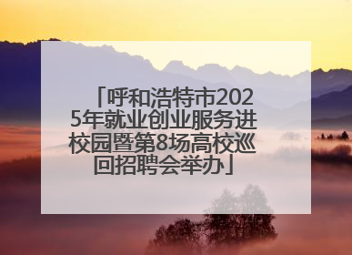 呼和浩特市2025年就业创业服务进校园暨第8场高校巡回招聘会举办