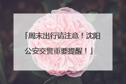 周末出行请注意！沈阳公安交警重要提醒！