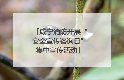 咸宁消防开展“安全宣传咨询日”集中宣传活动
