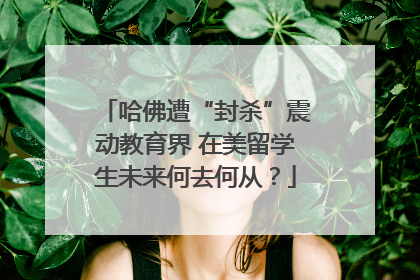 哈佛遭“封杀”震动教育界 在美留学生未来何去何从？