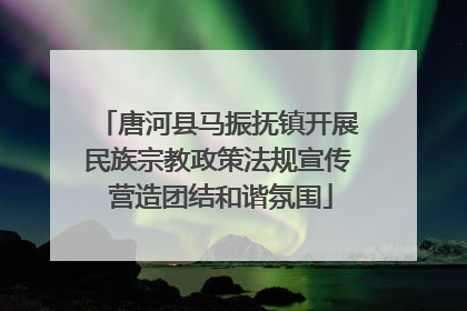 唐河县马振抚镇开展民族宗教政策法规宣传 营造团结和谐氛围