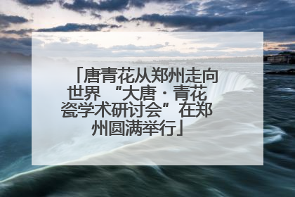 唐青花从郑州走向世界 “大唐・青花瓷学术研讨会”在郑州圆满举行