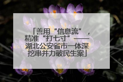 善用“信息流”，精准“打七寸”——湖北公安省市一体深挖串并力破民生案