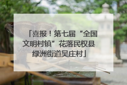 喜报！第七届“全国文明村镇”花落民权县绿洲街道吴庄村