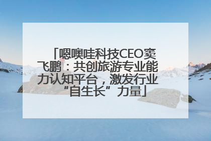 嗯噢哇科技CEO窦飞鹏：共创旅游专业能力认知平台，激发行业“自生长”力量