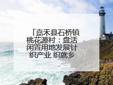 嘉禾县石桥镇桃花源村：盘活闲置用地发展针织产业 织就乡村振兴新图景