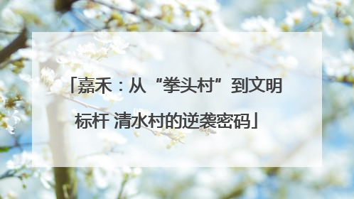 嘉禾：从“拳头村”到文明标杆 清水村的逆袭密码