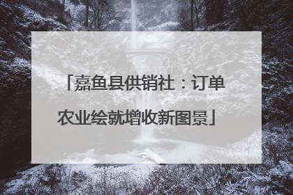 嘉鱼县供销社：订单农业绘就增收新图景