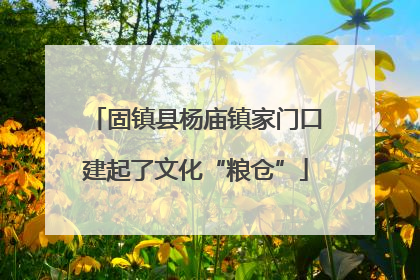 固镇县杨庙镇家门口建起了文化“粮仓”