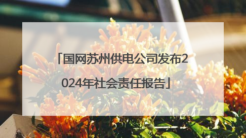 国网苏州供电公司发布2024年社会责任报告