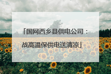 国网西乡县供电公司：战高温保供电送清凉