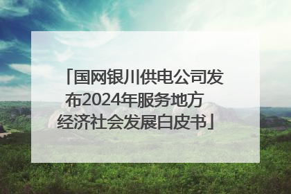 国网银川供电公司发布2024年服务地方经济社会发展白皮书