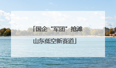 国企“军团”抢滩山东低空新赛道