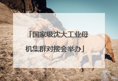 国家级沈大工业母机集群对接会举办