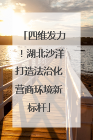 四维发力！湖北沙洋打造法治化营商环境新标杆