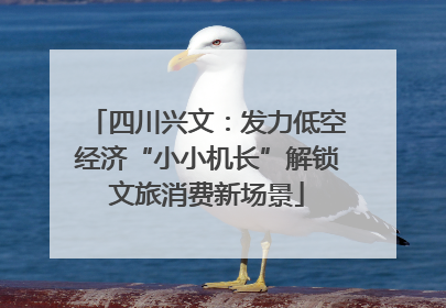 四川兴文：发力低空经济“小小机长”解锁文旅消费新场景
