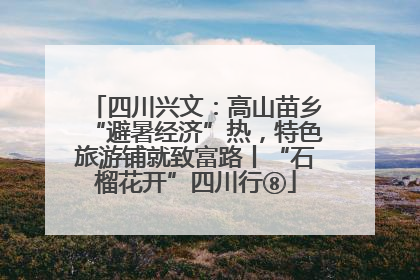 四川兴文：高山苗乡“避暑经济”热，特色旅游铺就致富路丨“石榴花开”四川行⑧