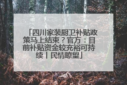 四川家装厨卫补贴政策马上结束？官方：目前补贴资金较充裕可持续丨民情瞭望