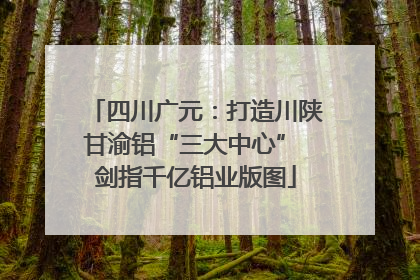 四川广元：打造川陕甘渝铝“三大中心” 剑指千亿铝业版图