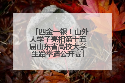 四金一银！山外大学子亮相第十五届山东省高校大学生跆拳道公开赛
