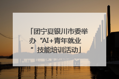 团宁夏银川市委举办“AI+青年就业”技能培训活动