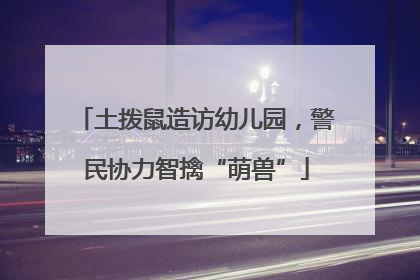 土拨鼠造访幼儿园，警民协力智擒“萌兽”