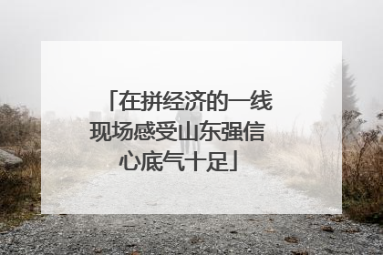 在拼经济的一线现场感受山东强信心底气十足