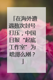 在海外遭遇数次封号打压，中国日报“起底工作室”为啥那么刚？