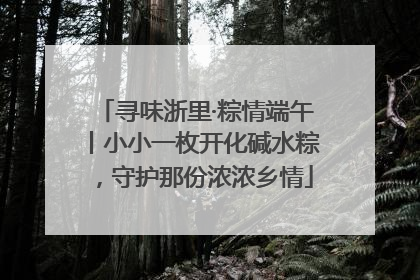 寻味浙里·粽情端午丨小小一枚开化碱水粽，守护那份浓浓乡情