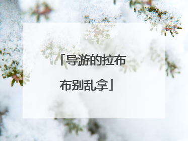 导游的拉布布别乱拿